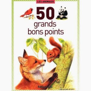 Set of 50 Large Animal Picture Cards