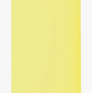 Set of 50 Yellow Canari 2-flap Folders, 210gsm, Size 24x32 cm