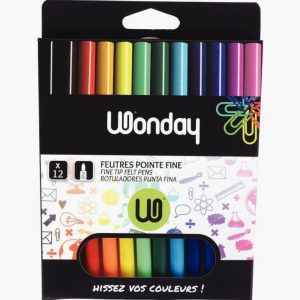 Set of 12 Fine Tip Coloring Markers in Assorted Colors