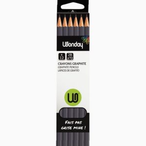 Boite de 12 crayons graphite bout tranché 2B