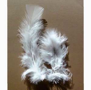 25g Bag of White Flat Turkey Feathers