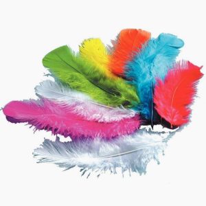 250g Pack of Mixed Turkey Feathers