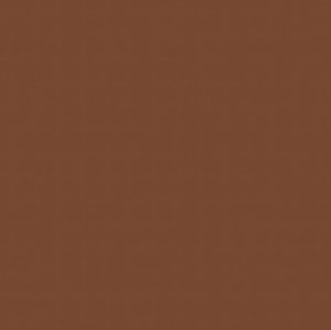 Boîte de 12 feutres Visacolor 1161 brun rouge