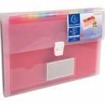 Crystal Polypropylene Document Organizer Case, 13 Sections